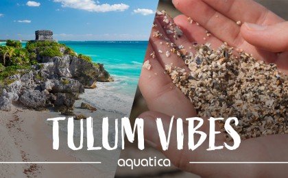 Aquatica Tulum Vibes Blog Post Title